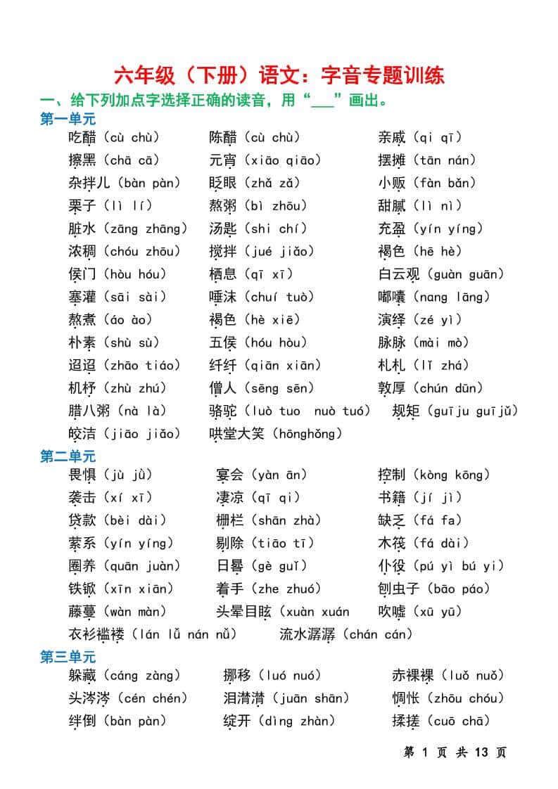 六年级下册册语文字音专题训练（含13页）
