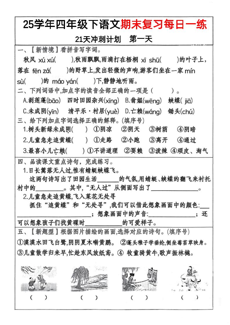 四年级下册册语文期末复习每日一练冲刺21天计划21页