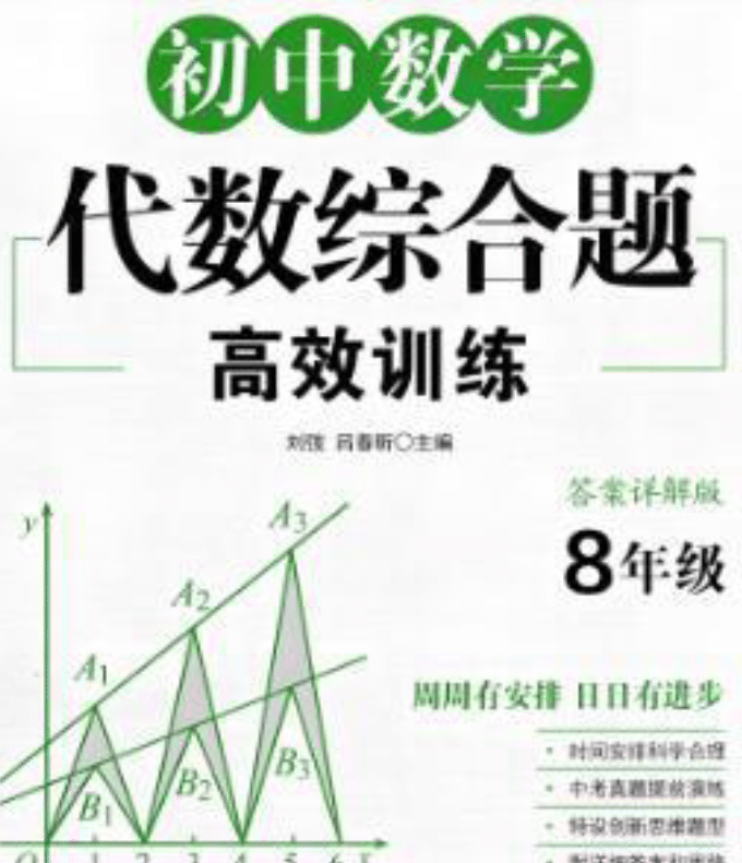 周计划初中数学代数综合题高效训练