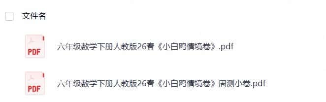 六年级数学下册人教版26春《小白鸥情境卷》