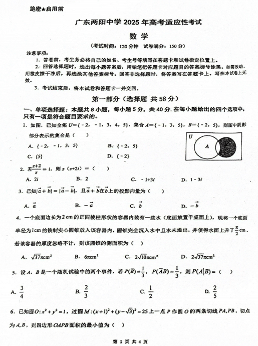 广东省阳江市广东两阳中学2025届高三高考适应性考试数学试题