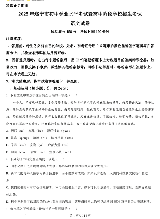 2025年四川省遂宁市中考语文真题