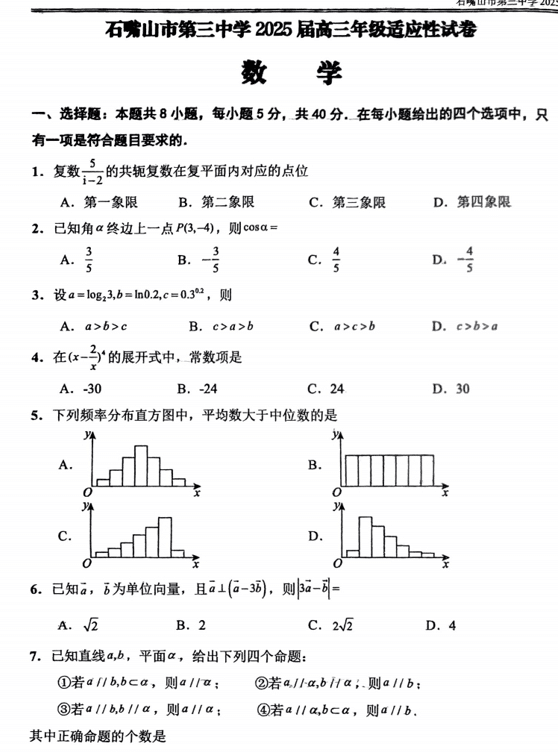 宁夏石嘴山市第三中学2025届高三年级适应性考试数学试题