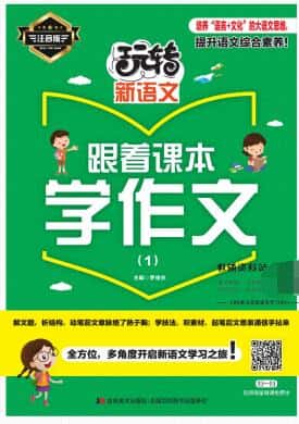 《玩转新语文》PDF电子版下载