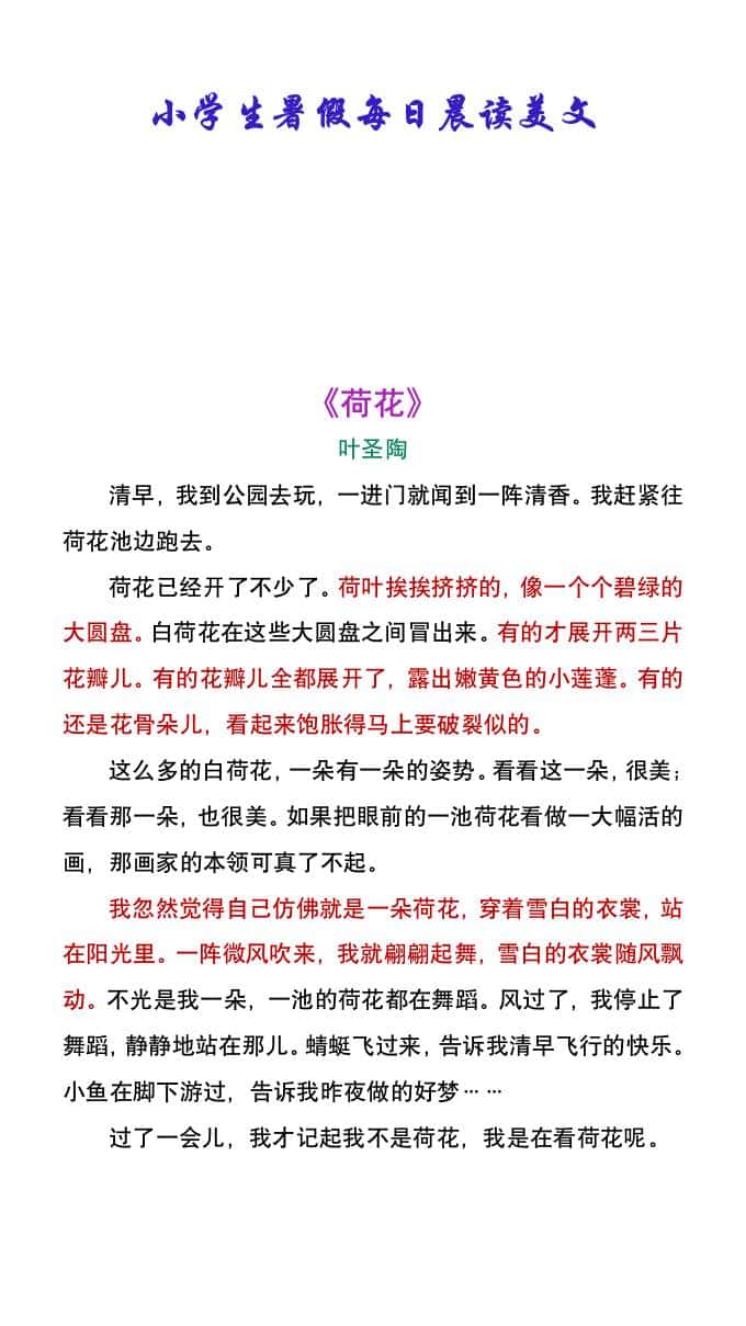 小学生暑假每日晨读美文：叶圣陶《荷花》