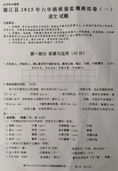 贵州省铜仁市德江县2024-2025学年小升初模拟语文试题