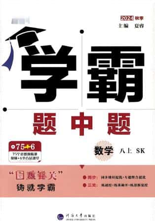 2024秋+2025春《学霸题中题》苏科版+北师版电子版下载