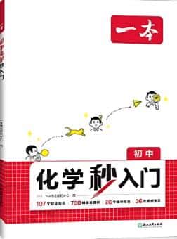 2025版《一本化学秒入门》初中通用 电子版下载打印