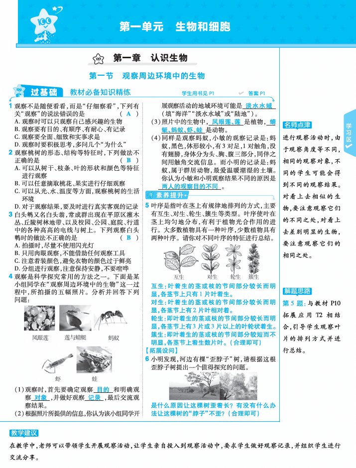 2025七上生物一遍过RJ《一遍过》练习册教案
