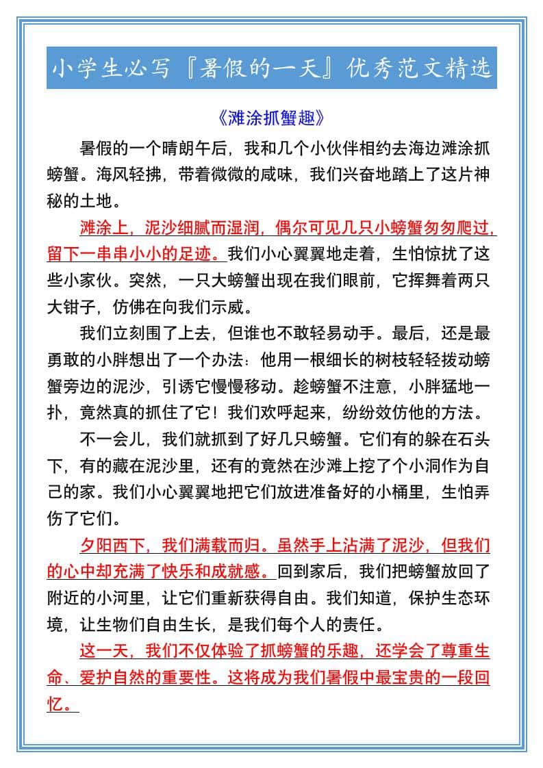 小学生必写『暑假的一天』优秀范文精选-小升初语文